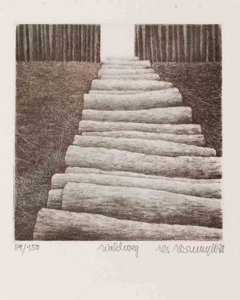 Waldweg
