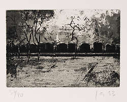 Friedel Anderson